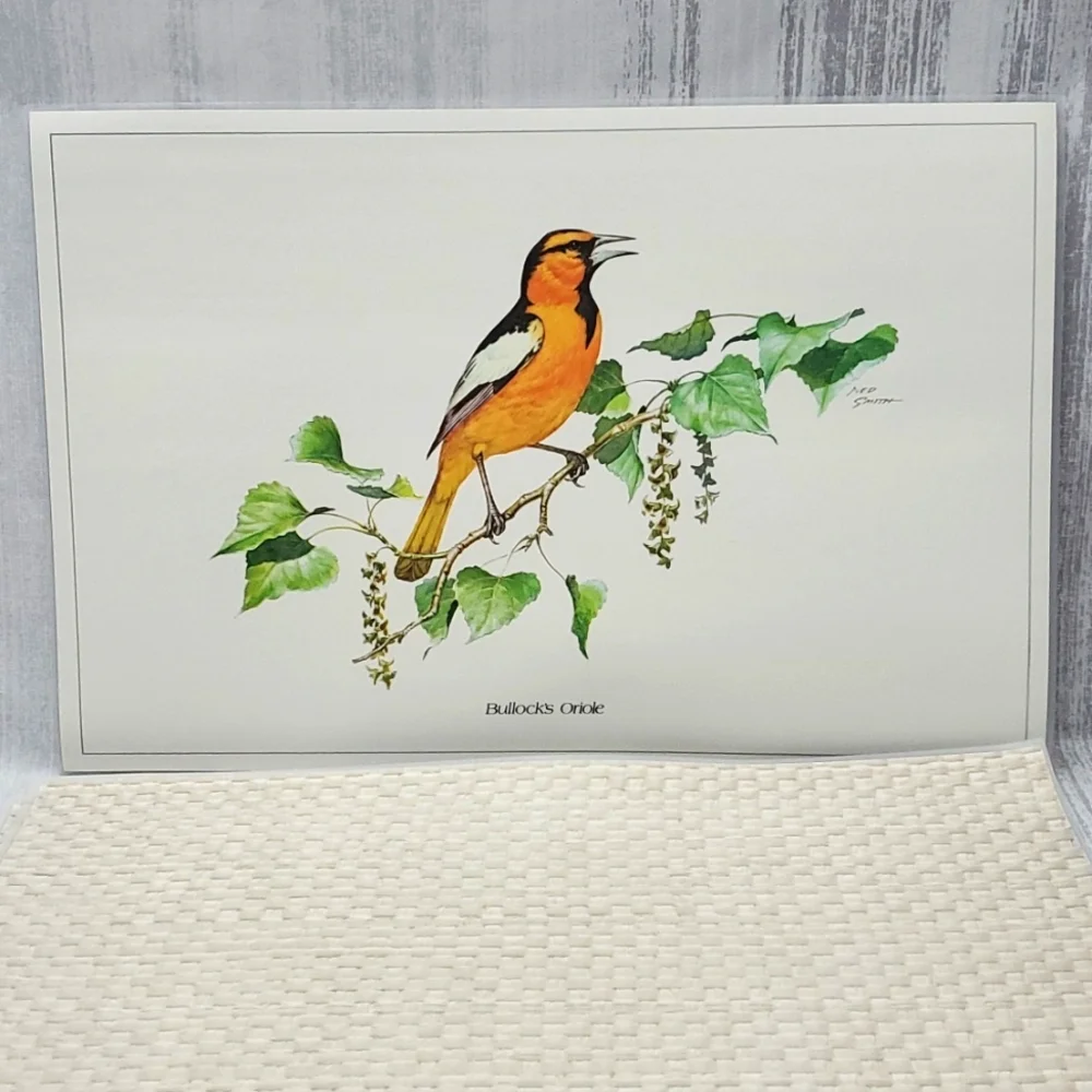 Ned Smith 6Pc Placemats SongBird Series - Picture 7 of 14